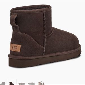 UGG Booties in Chocolate - UGG Classic Mini II Boots